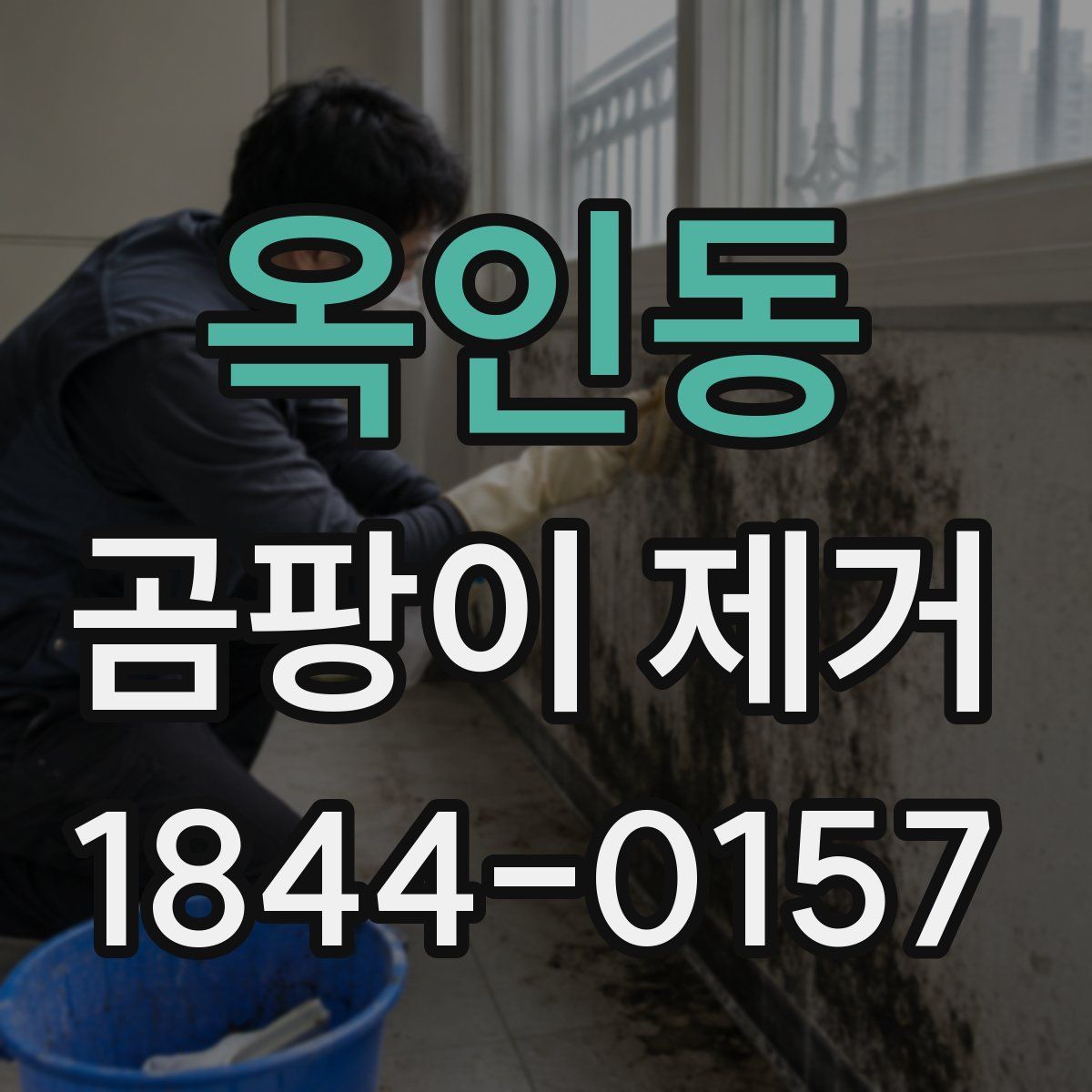 옥인동 곰팡이 제거