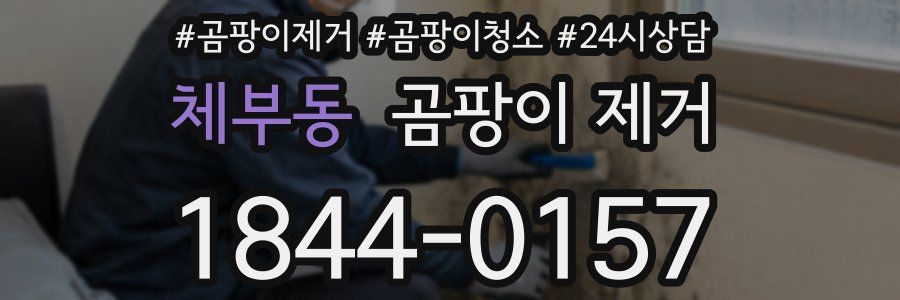 체부동 곰팡이 제거