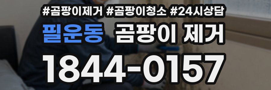 필운동 곰팡이 제거
