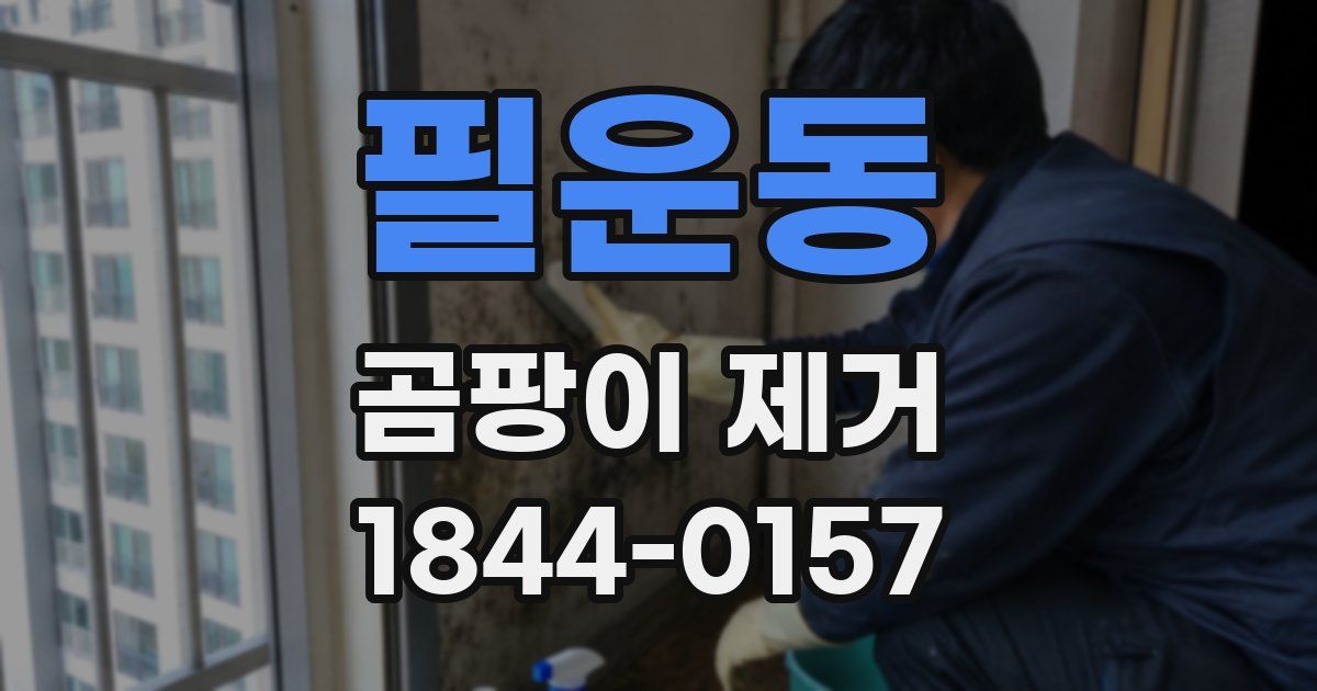 필운동 곰팡이 제거