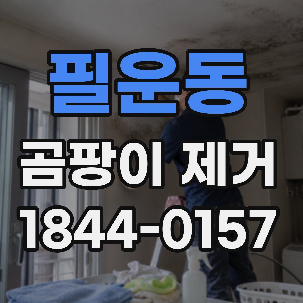 필운동 곰팡이 제거