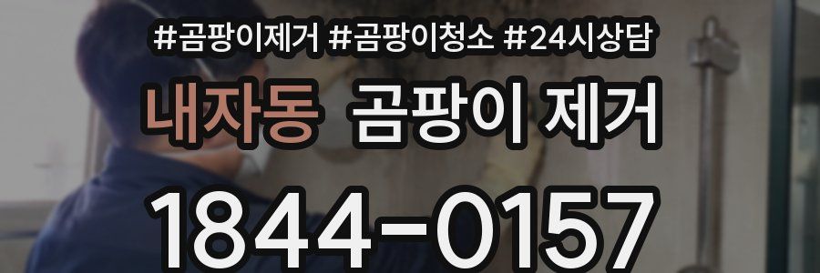 내자동 곰팡이 제거