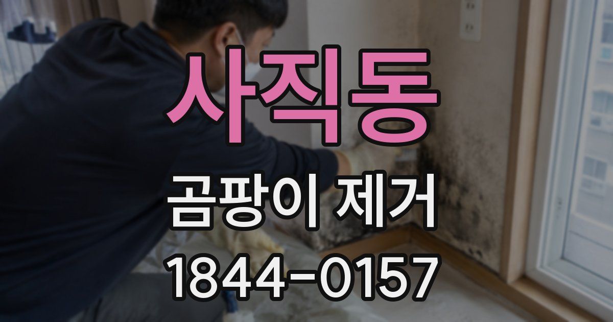 사직동 곰팡이 제거