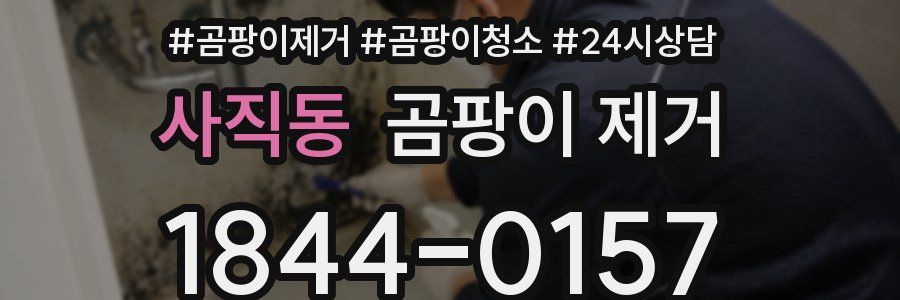 사직동 곰팡이 제거