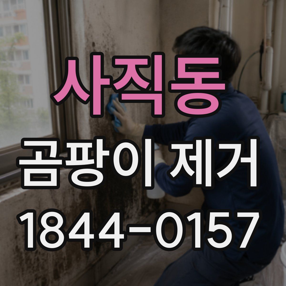 사직동 곰팡이 제거