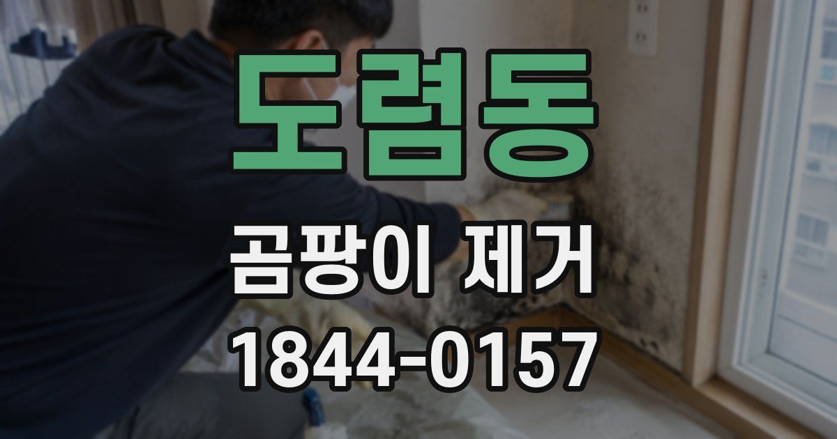 도렴동 곰팡이 제거