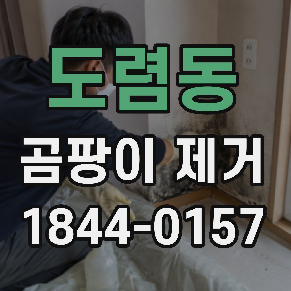 도렴동 곰팡이 제거