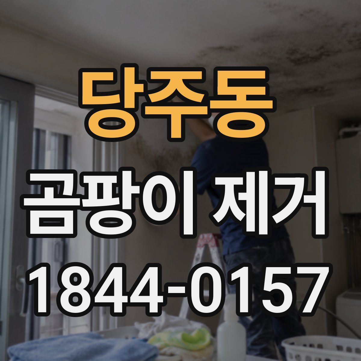 당주동 곰팡이 제거