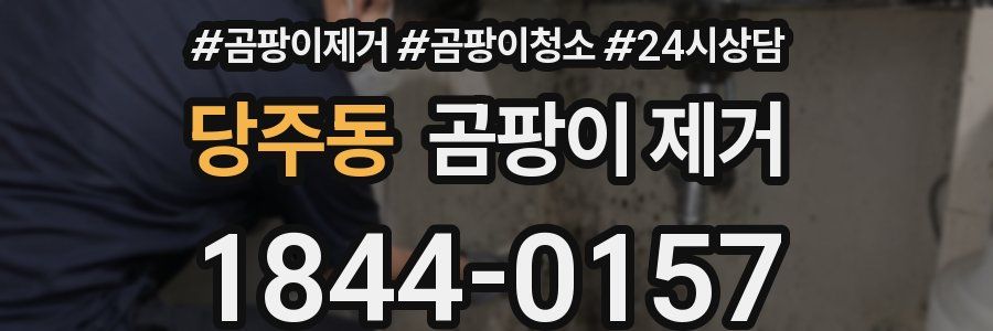 당주동 곰팡이 제거