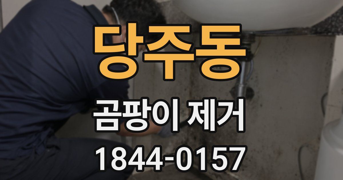 당주동 곰팡이 제거