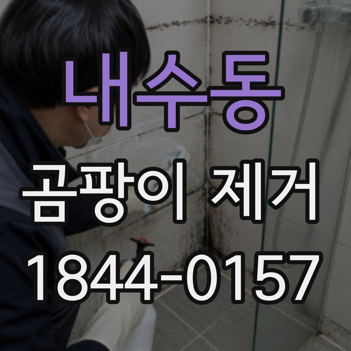 내수동 곰팡이 제거