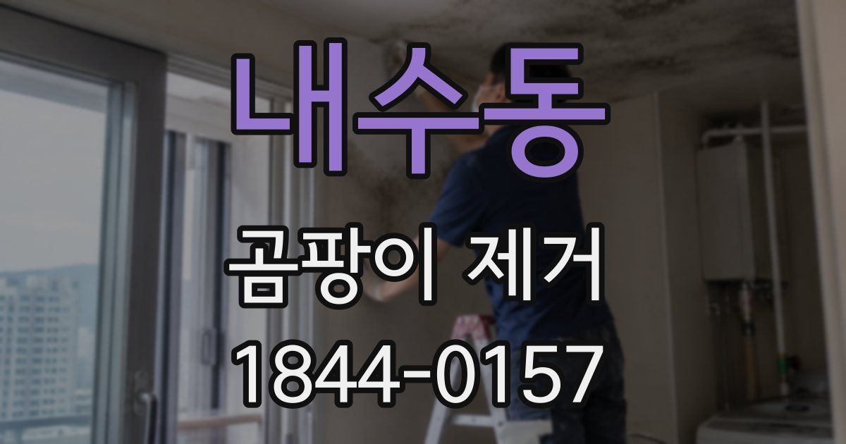 내수동 곰팡이 제거