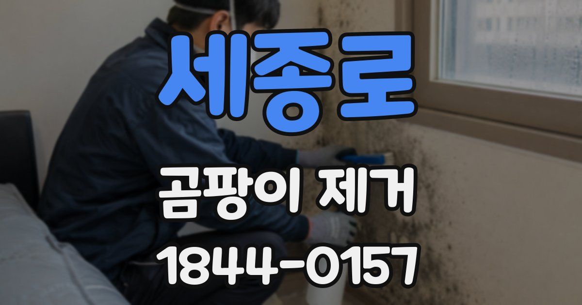 세종로 곰팡이 제거
