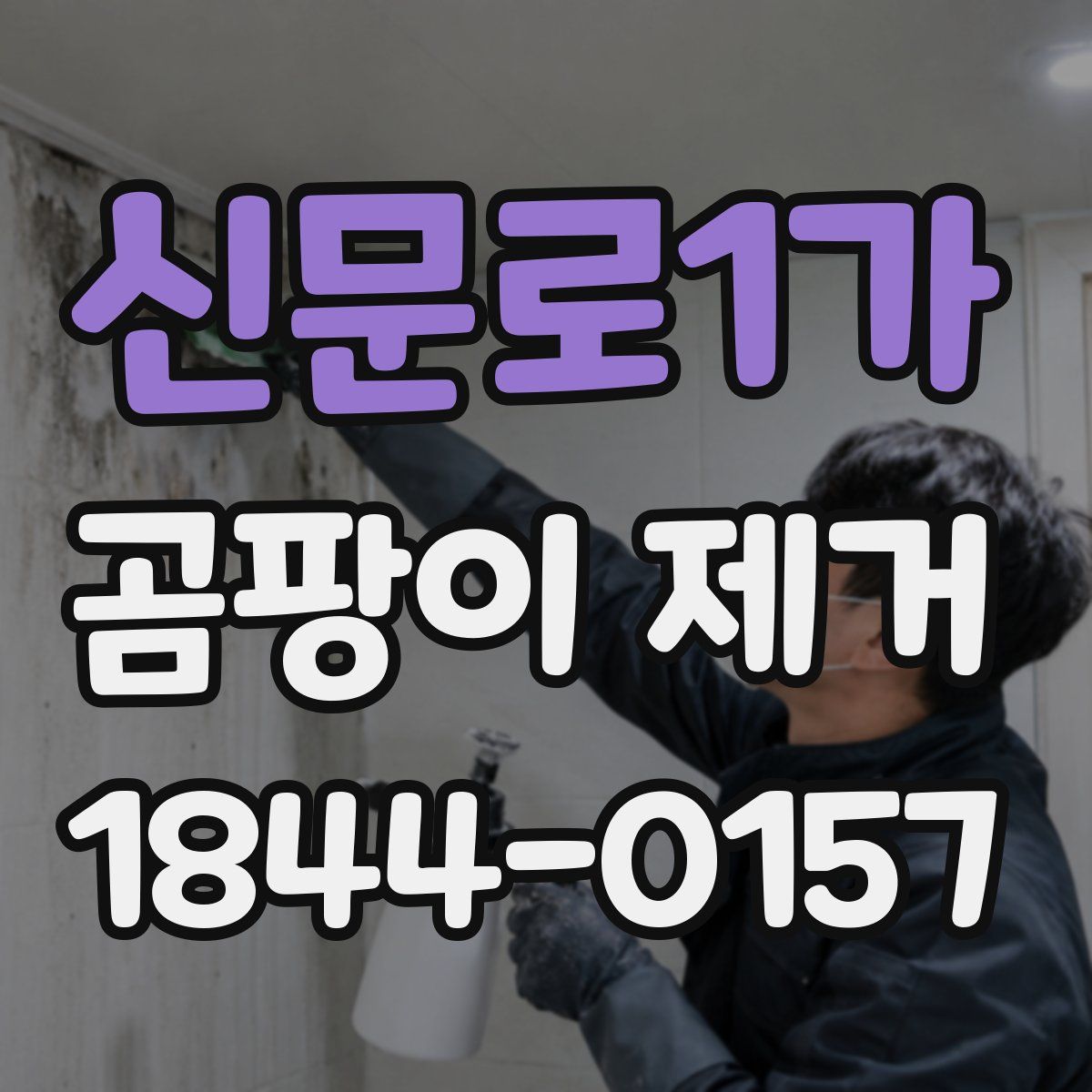 신문로1가 곰팡이 제거