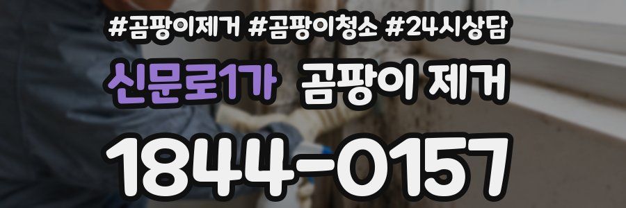 신문로1가 곰팡이 제거