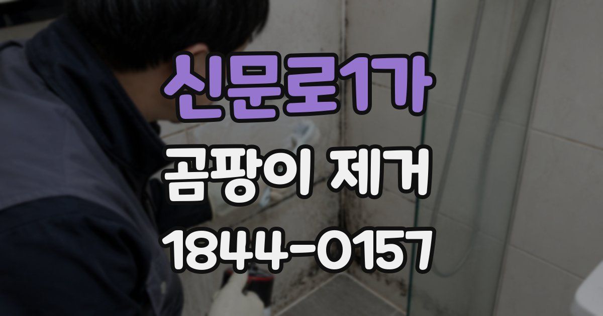 신문로1가 곰팡이 제거