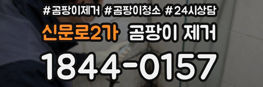 신문로2가 곰팡이 제거