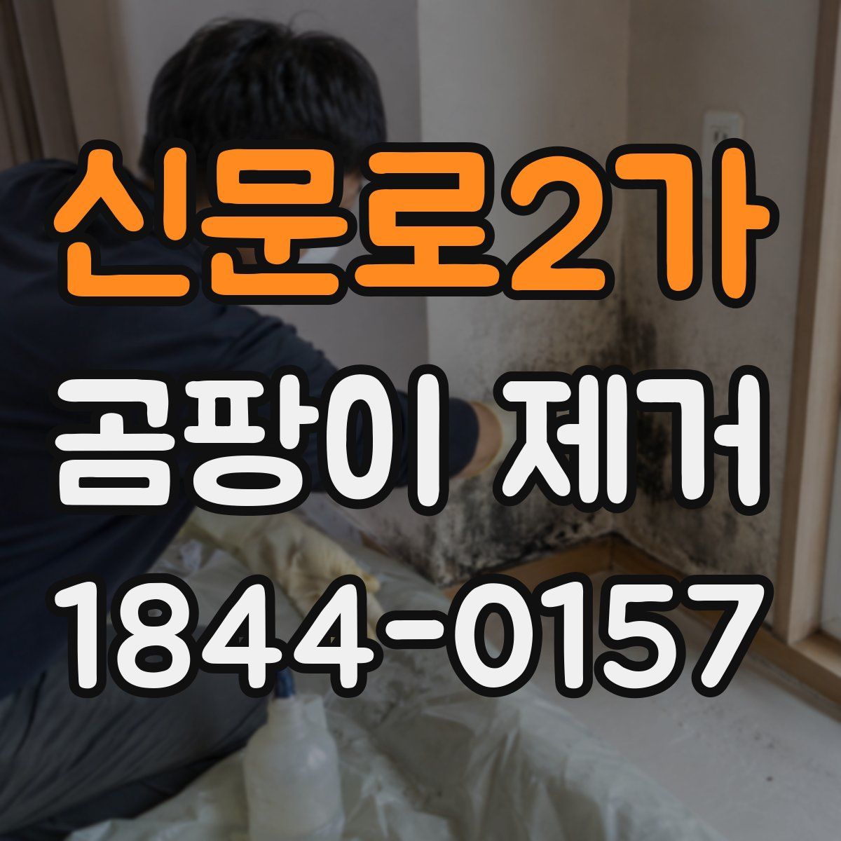 신문로2가 곰팡이 제거