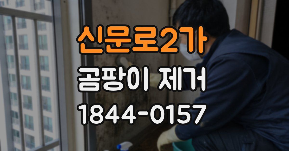 신문로2가 곰팡이 제거