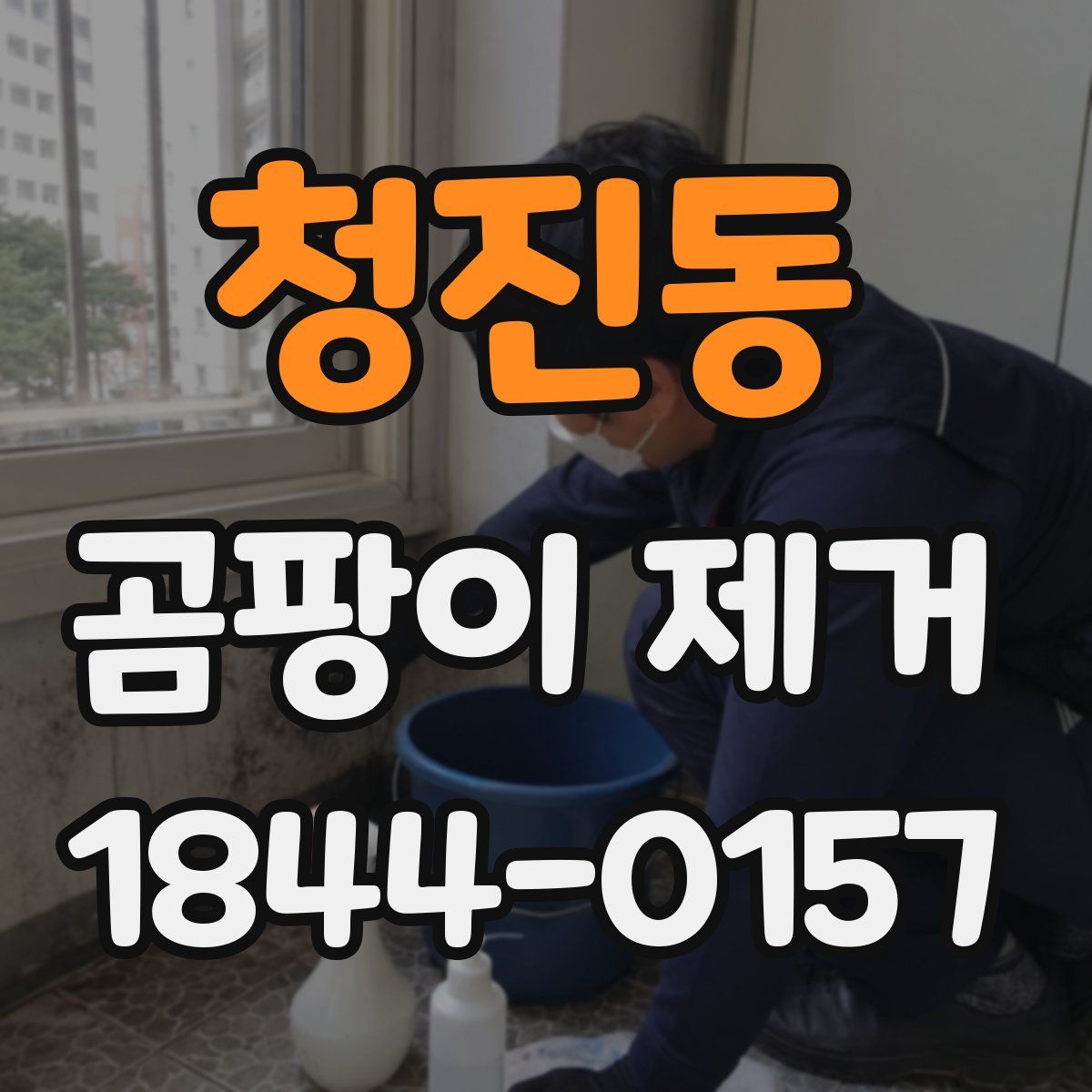 청진동 곰팡이 제거