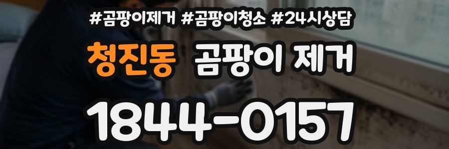 청진동 곰팡이 제거