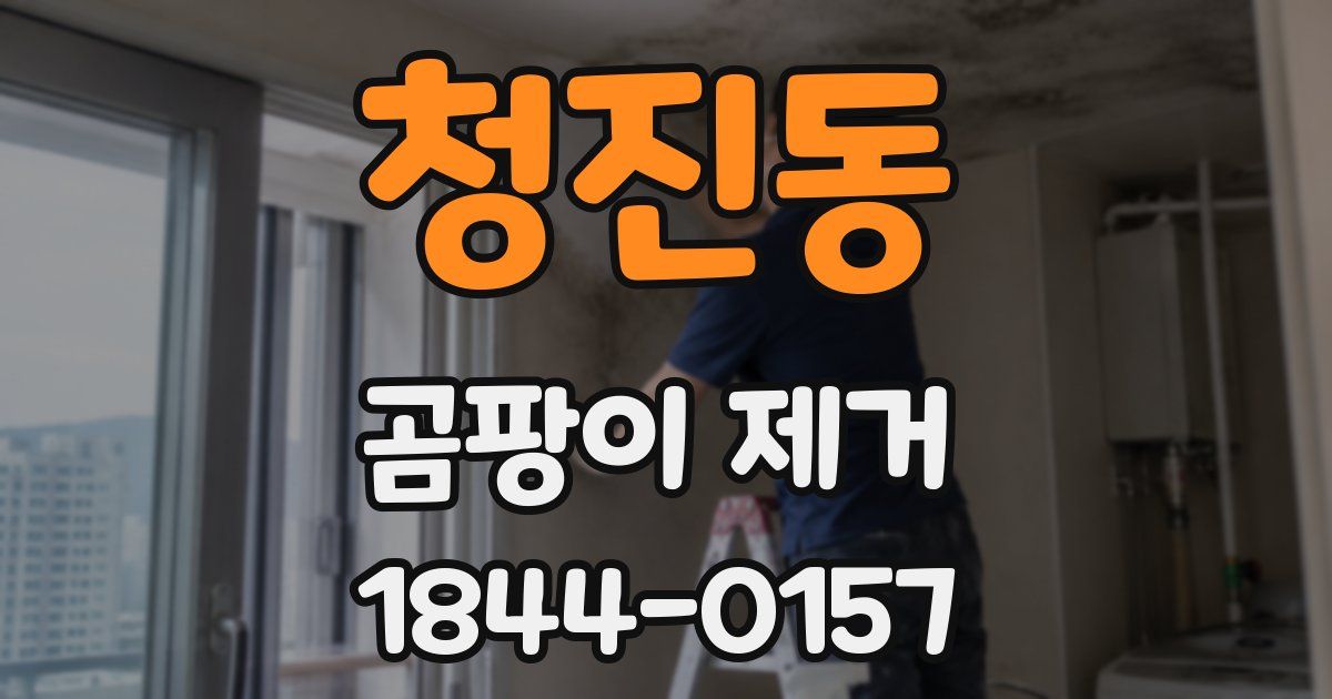 청진동 곰팡이 제거