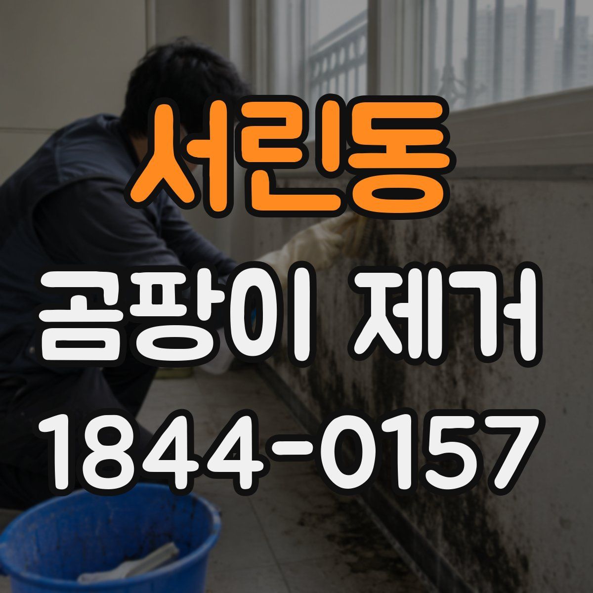 서린동 곰팡이 제거