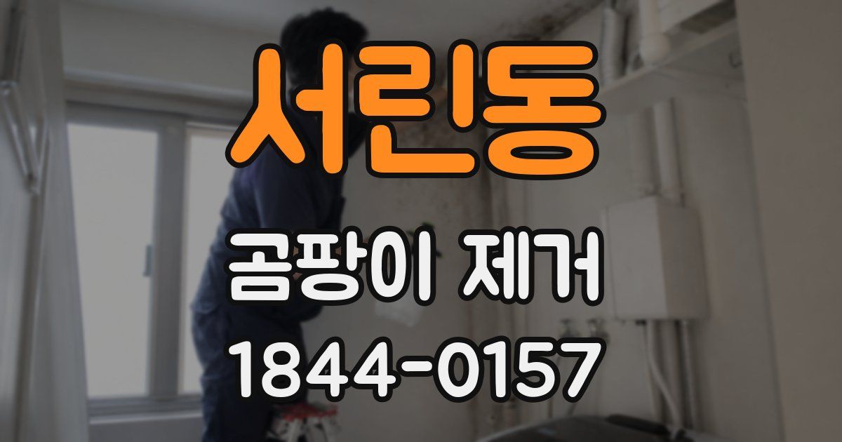 서린동 곰팡이 제거