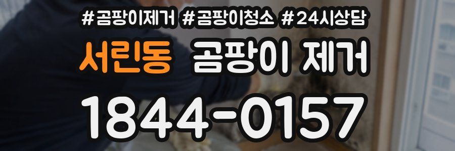 서린동 곰팡이 제거
