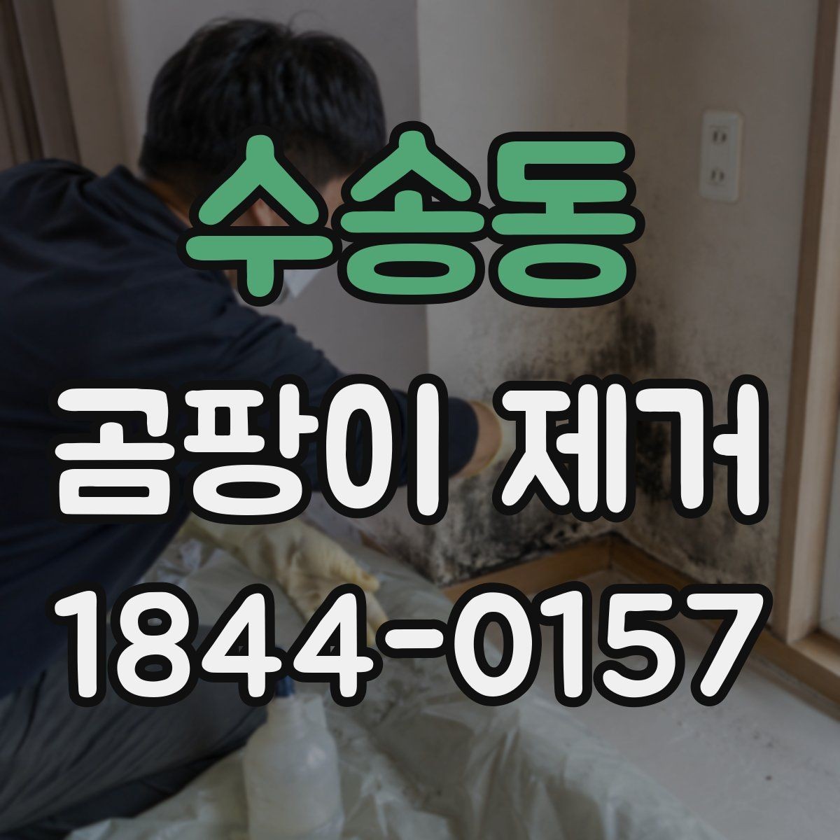 수송동 곰팡이 제거 계절별 관리 차이와 체크리스트