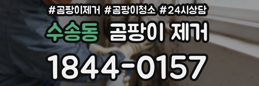 수송동 곰팡이 제거