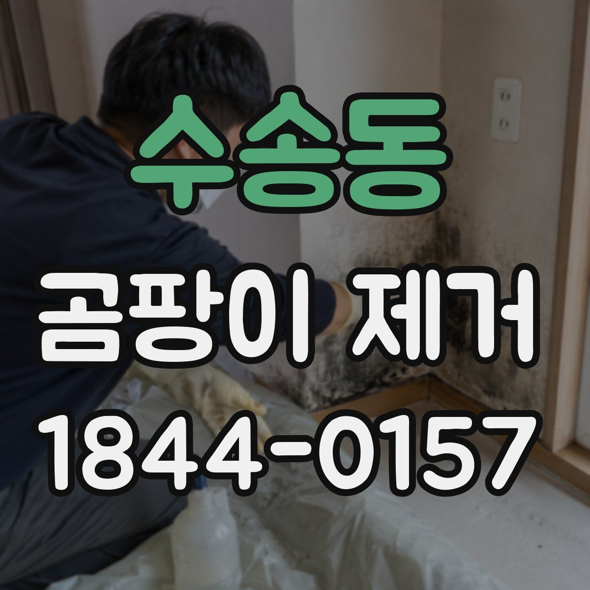 수송동 곰팡이 제거