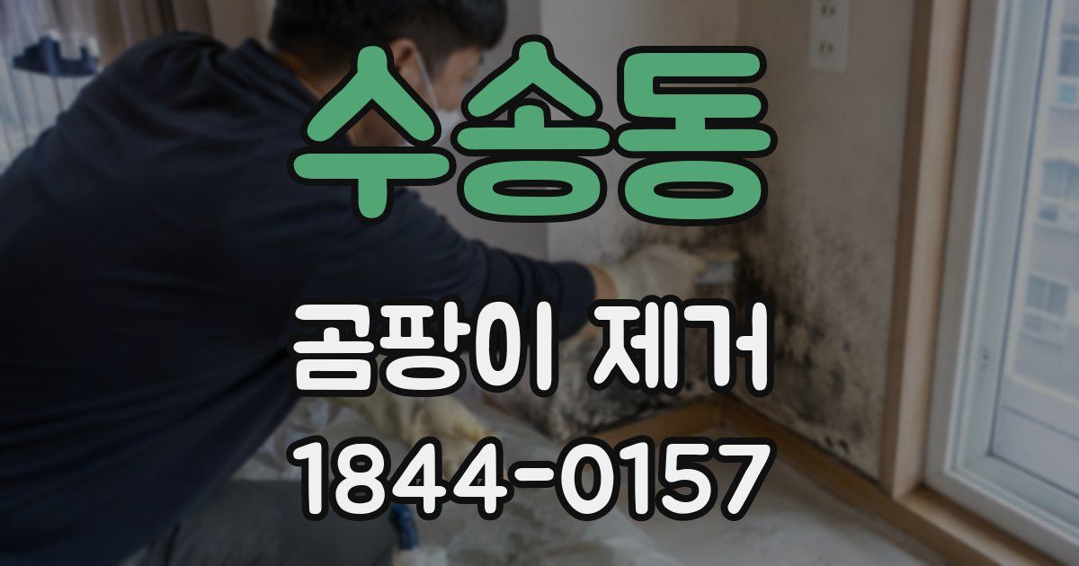 수송동 곰팡이 제거