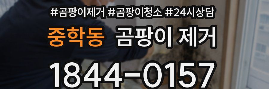 중학동 곰팡이 제거