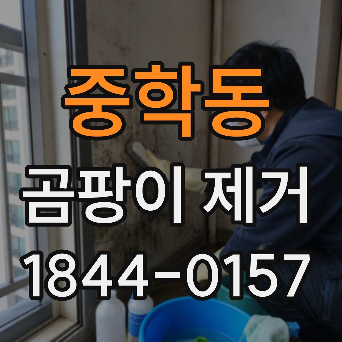 중학동 곰팡이 제거