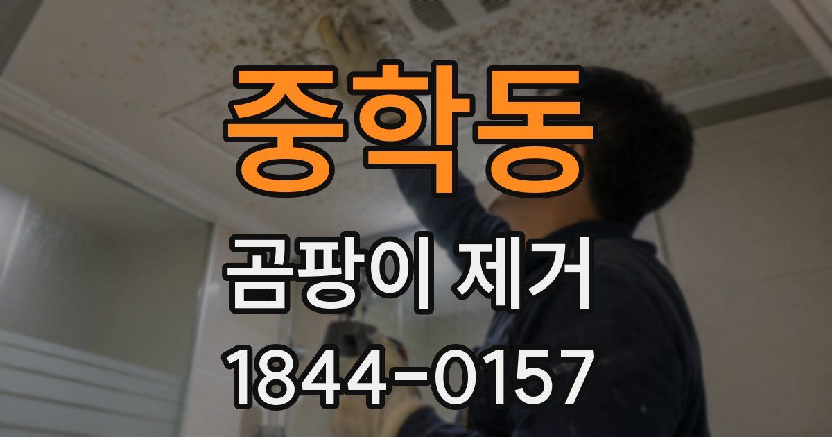 중학동 곰팡이 제거