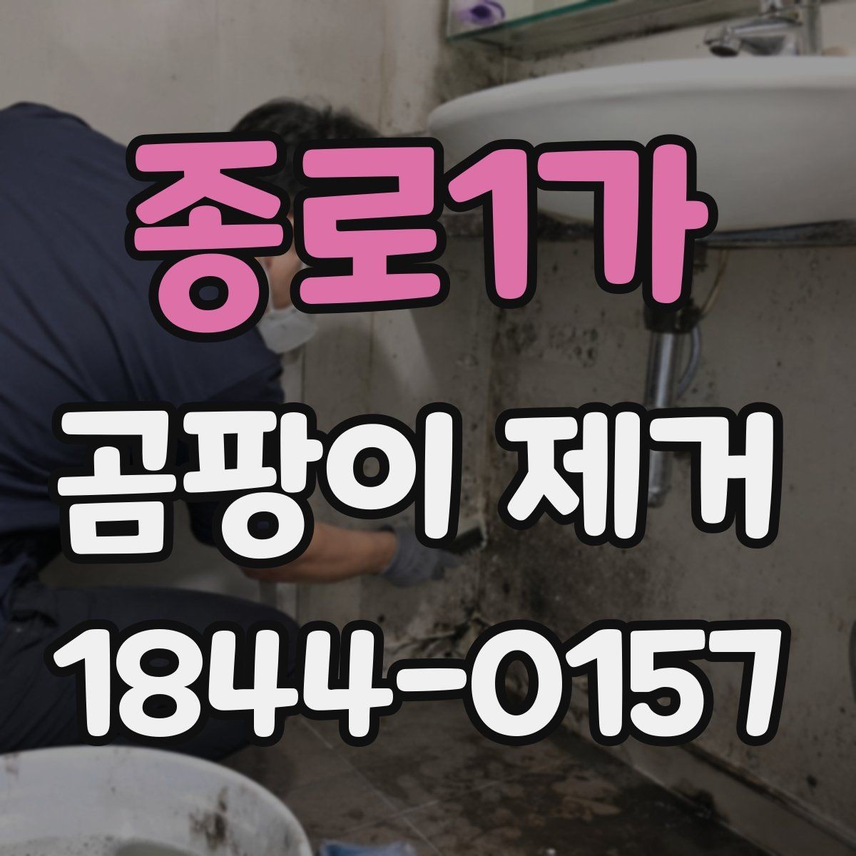 종로1가 곰팡이 제거 계절별 관리 차이와 체크리스트