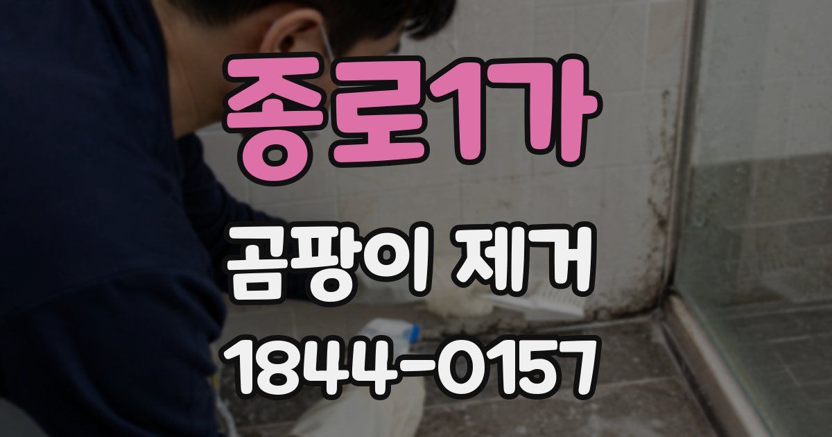 종로1가 곰팡이 제거