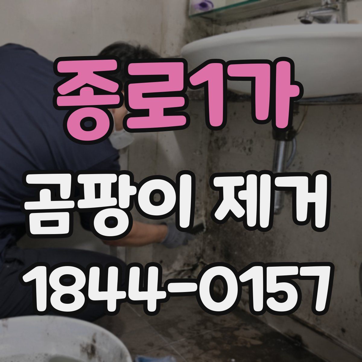 종로1가 곰팡이 제거