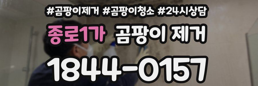 종로1가 곰팡이 제거
