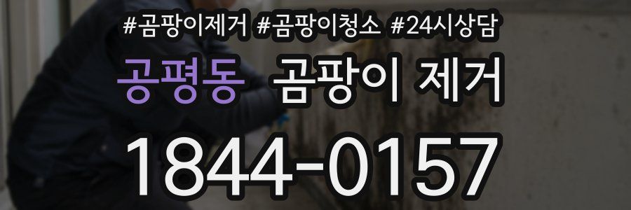 공평동 곰팡이 제거