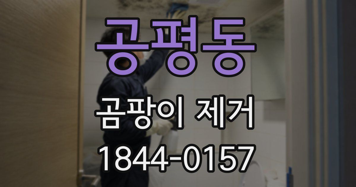 공평동 곰팡이 제거