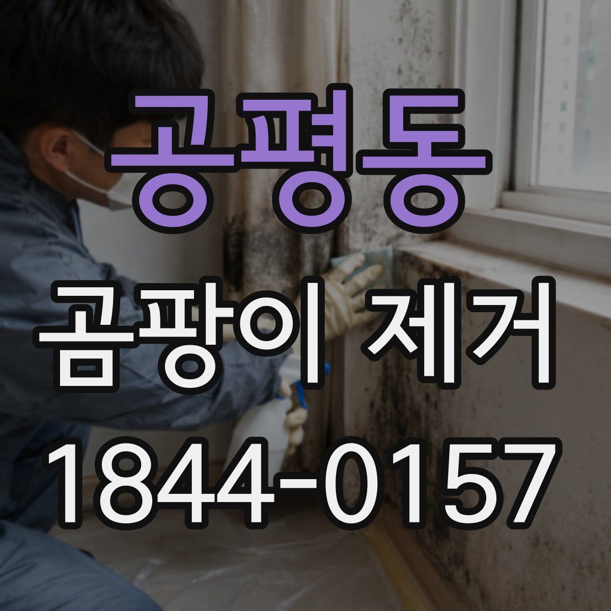 공평동 곰팡이 제거