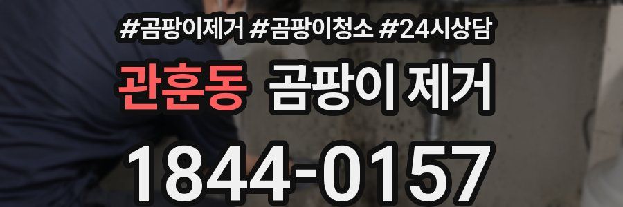 관훈동 곰팡이 제거