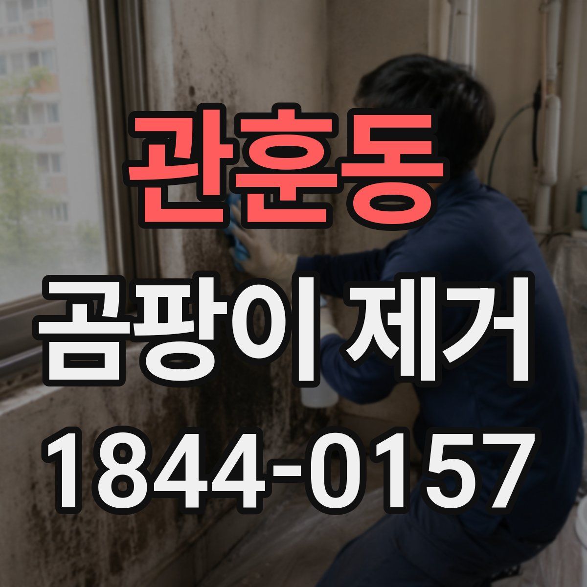 관훈동 곰팡이 제거