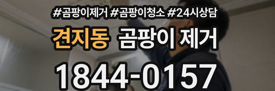 견지동 곰팡이 제거