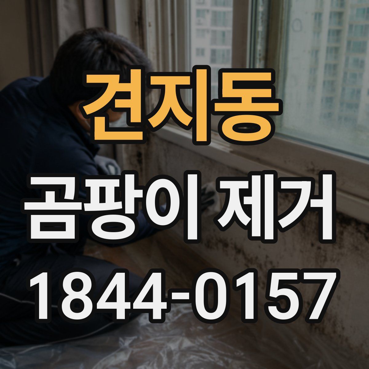견지동 곰팡이 제거