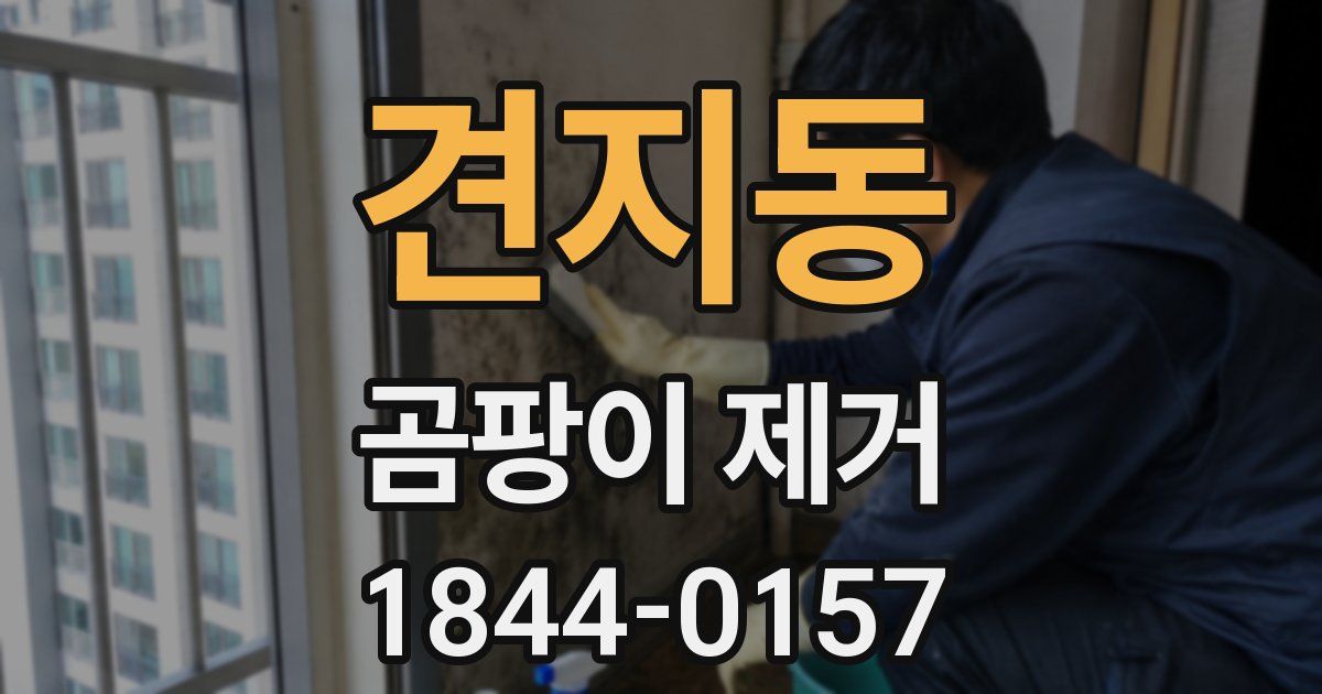 견지동 곰팡이 제거