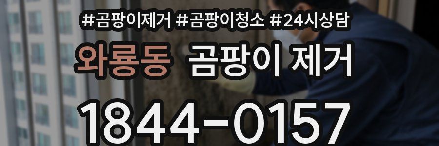 와룡동 곰팡이 제거