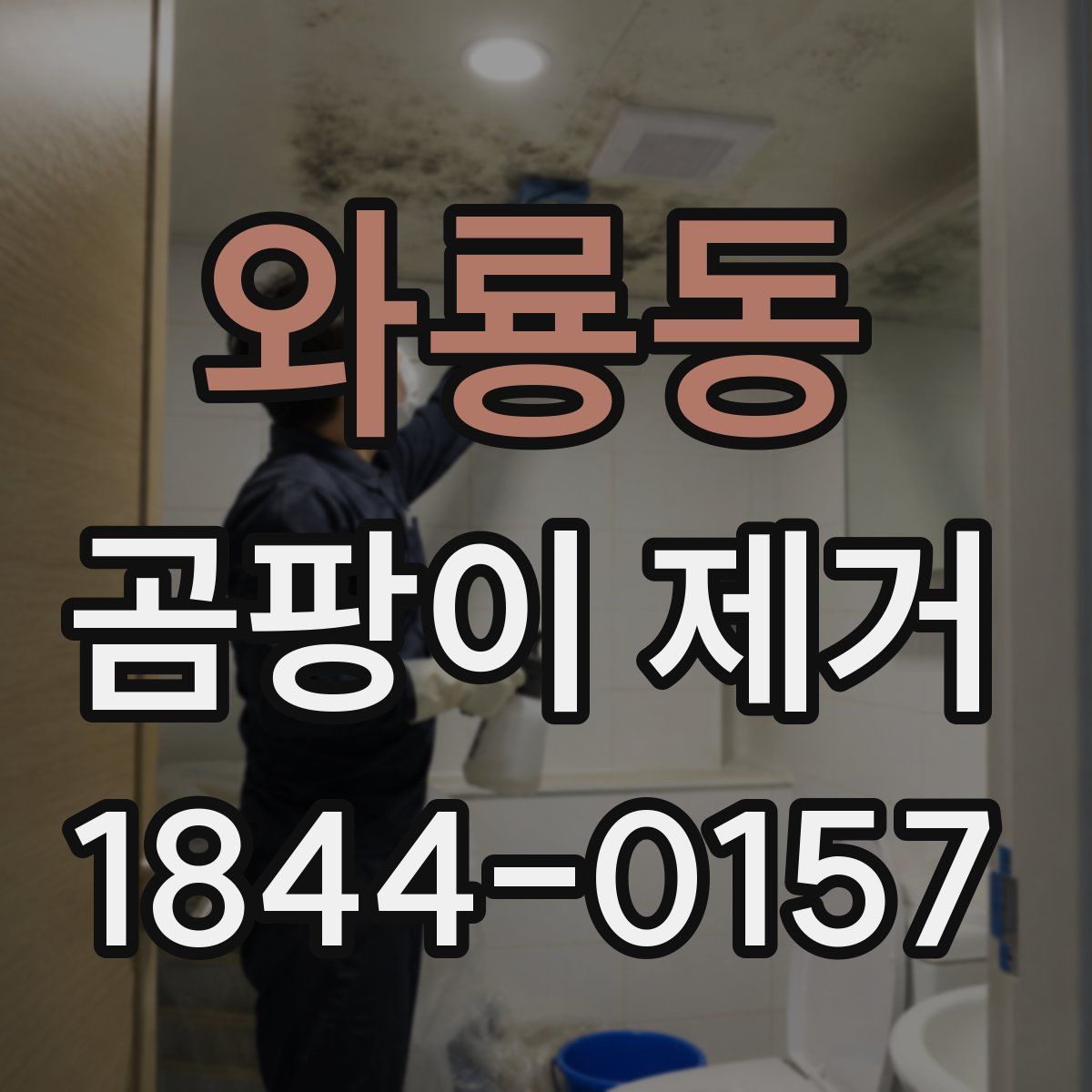와룡동 곰팡이 제거